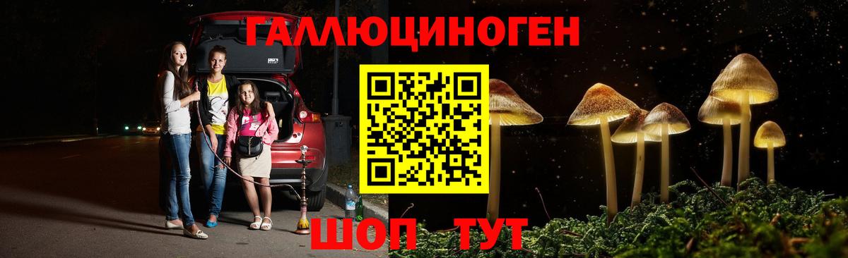 Комсомольск-на-Амуре  Псилоцибиновые грибы Magic Shrooms  Вход с VPN  Галлюциногенные грибы GOLDEN TEACHER 